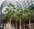 Winter Garden