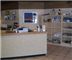 Blue Dolphin Cafe