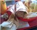 Izzo's Illegal Burrito
