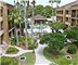 Courtyard Marriott St. Petersburg Clearwater