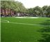 Thomas Jefferson Dog Park