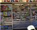 Sticker Planet