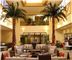 Hilton Tampa Airport Westshore