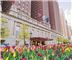 Hilton Chicago