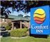 Comfort Inn Addison