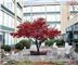 Holiday Inn Select Cedar Bluff