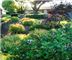 Best Western Garden Inn