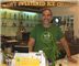 Soli Organic