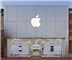 Apple Store Legacy Village