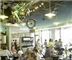 Freebirds World Burrito