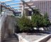 Barney Allis Plaza