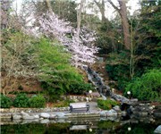 Photo of Lithia Park - Ashland, OR
