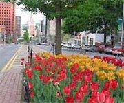 Photo of Downtown Albany FreeNet - Albany, NY